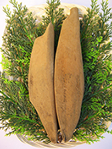Karebushi